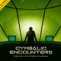 Exploration Of The Southern Constellation - Cymbalic Encounters