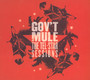 Tel-Star Sessions - Gov't Mule