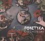 Ciechowski - Fonetyka