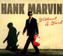 Without A Word - Hank Marvin
