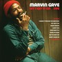 Let's Get It On Live - Marvin Gaye