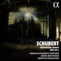 Klaviertrio D.929/Arpeggi - F. Schubert