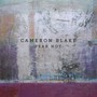 Fear Not - Cameron Blake