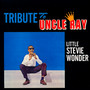 Tribute To Uncle Ray/ The Jazz Soul Of Little Stevie - Stevie Wonder