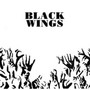 Black Wings - His Name Is Alive