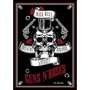 Guns N Roses Ostatni Giganci Z Rockowej Dungli - V/A
