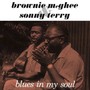 Blues In My Soul - Brownie McGhee  & Sonny T