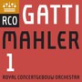 Symphony No.1 - G. Mahler