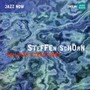 Cellular Structures - Steffen Schorn Ensemble 