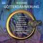 Goetterdaemmerung - R. Wagner