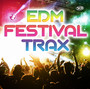 Edm Festival Trax - V/A