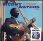 At Newport 1960 - Muddy Waters