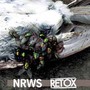 Narrows / Retox Split - Narrows  /  Retox