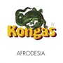 Afrodesia - Kongas
