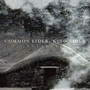 Egregore - Common Eider King Eider