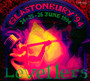 Glastonbury 94 - The Levellers