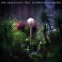 Entering The Woods - Emil Brandqvist Trio