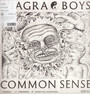 Common Sense - Viagra Boys