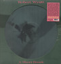 A Short Break - Robert Wyatt