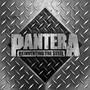 Reinventing The Steel - Pantera