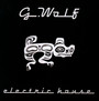 Electric House - G.Wolf