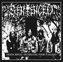 Death Metal Orchestra From Finland - Sentenced