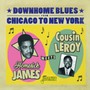 Downhome Blues From Chicago To New York - Homesick James Meets Cousin Leroy