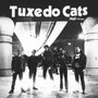 Out Of The Bag - Tuxedo Cats