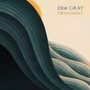 Firmament - Dim Gray