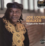 Weight Of The World - Joe Louis Walker 