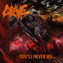 You'll Never See... - Grave