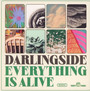 Everything Is Alive - Darlingside