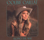 Along The Way - Colbie Caillat