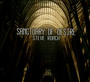 Sanctuary Of Desire - Steve Roach