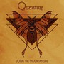Down The Mountainside - Quantum